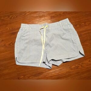 Vineyard vine, athletic performance shorts, size twelve blue and white striped